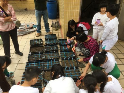 2016學年親子種植日 - 1